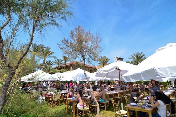 Edde Sands on Sunday